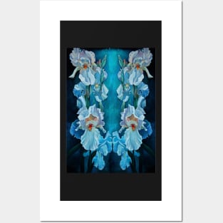 Irises Posters and Art